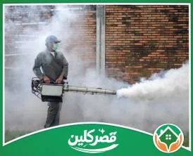 شركة رش مبيدات بالرياض