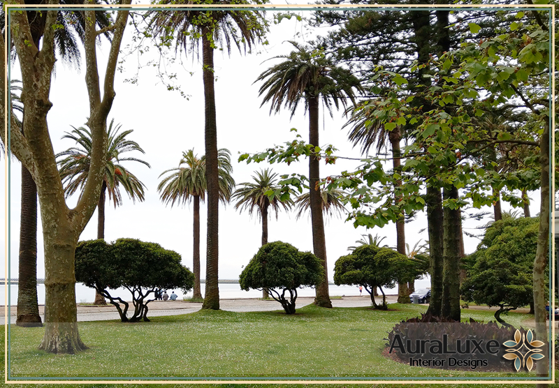 الأشجار كمصدر للجمال والاسترخاء وتصميم الحدائق المبتكر الأشجار كمصدر للجمال والاسترخاء وتصميم الحدائق المبتكر