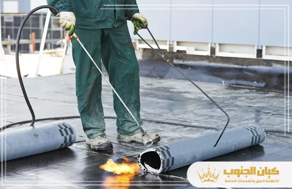 شركة تنظيف بصفوي